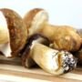 Cogumelos Porcini